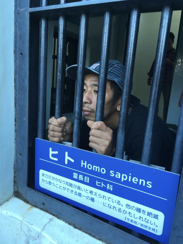 LOOP STATIONS 今まで何年もの間ゆめむらでは色々なバンドでドラムを演奏させていただきました。今年はギター1本で独奏します。 お楽しみに。